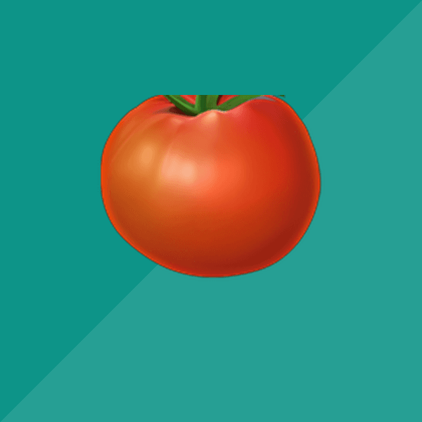 Vine Tomatoes