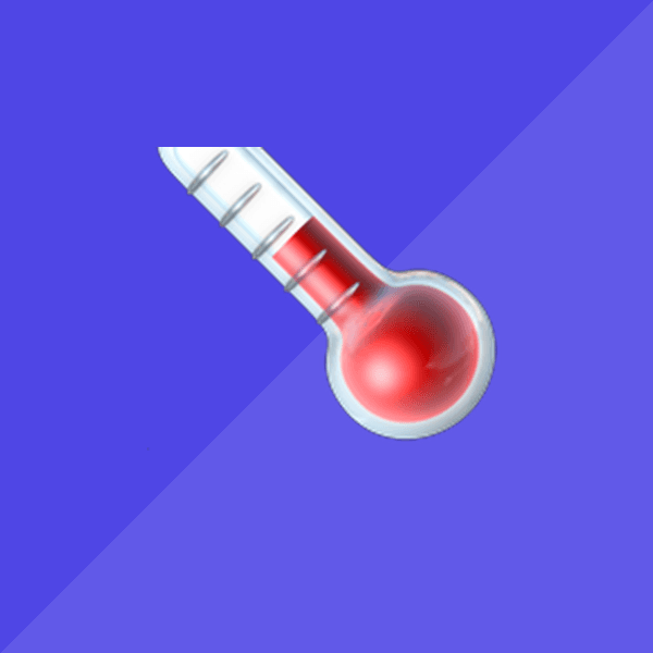 Digital Thermometer