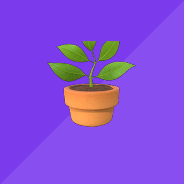 Ceramic Plant Pot