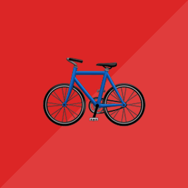 Bike Rental (day)